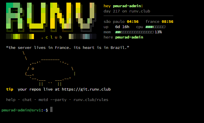 Colorful RUNV.club ASCII art MOTD on a black terminal, featuring a small cat, server stats, São Paulo and France clocks, and a welcome message.